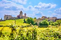 2025-05-09-062552-Sigy