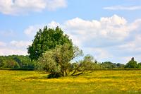 2025-05-09-062556-Sigy