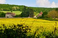 2025-05-09-062565-Sigy