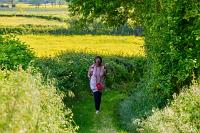 2025-05-09-062572-Sigy