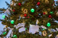 2024-12-07-061094-Strasbourg-Noel